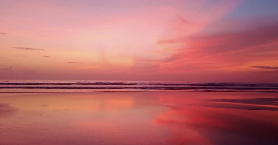 Dreamcatcher House & Hostel At Arambol Beach Exteriér fotografie