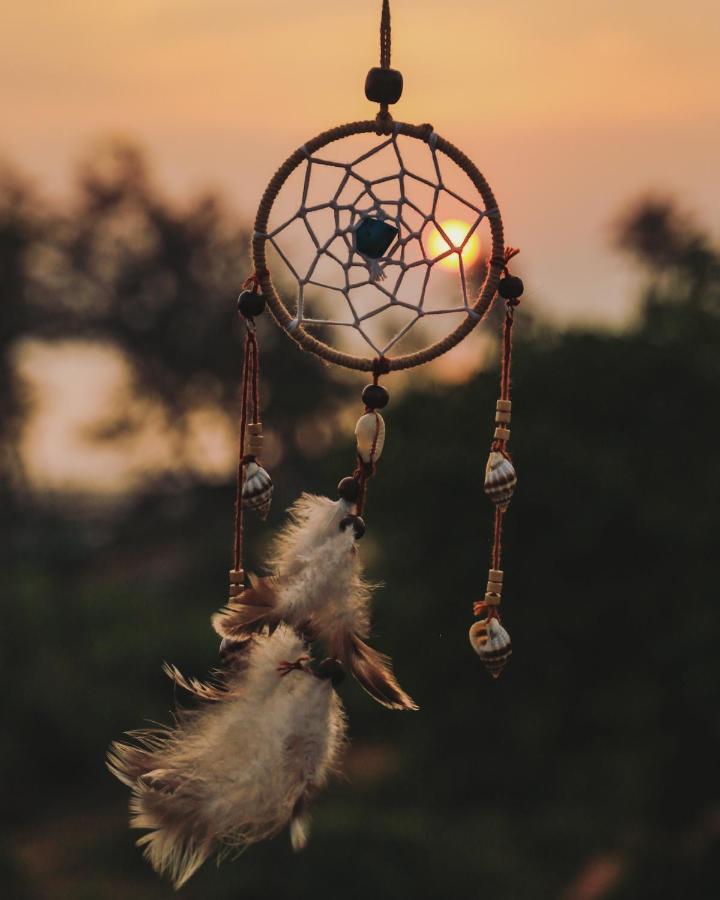 Dreamcatcher House & Hostel At Arambol Beach Exteriér fotografie